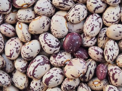Borlotti Borlotti
