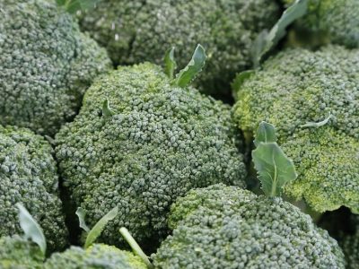 Broccoletti Broccoletti