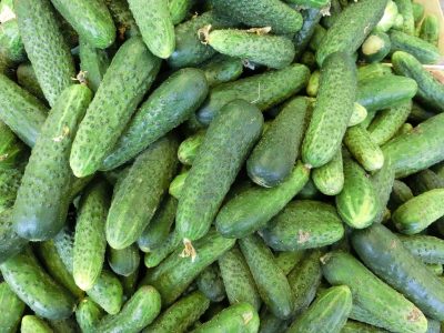 Cetrioli Cetrioli