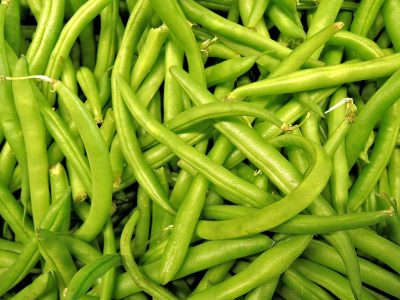 Fagiolini Fagiolini